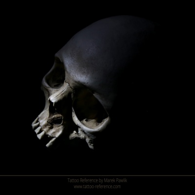 Skull Vol1 